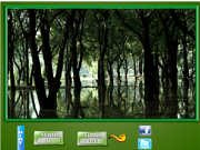 play Puzzle Craze Dark Forest