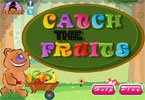 play Catch The Fruit