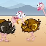 play Ostrich Lovely Kiss