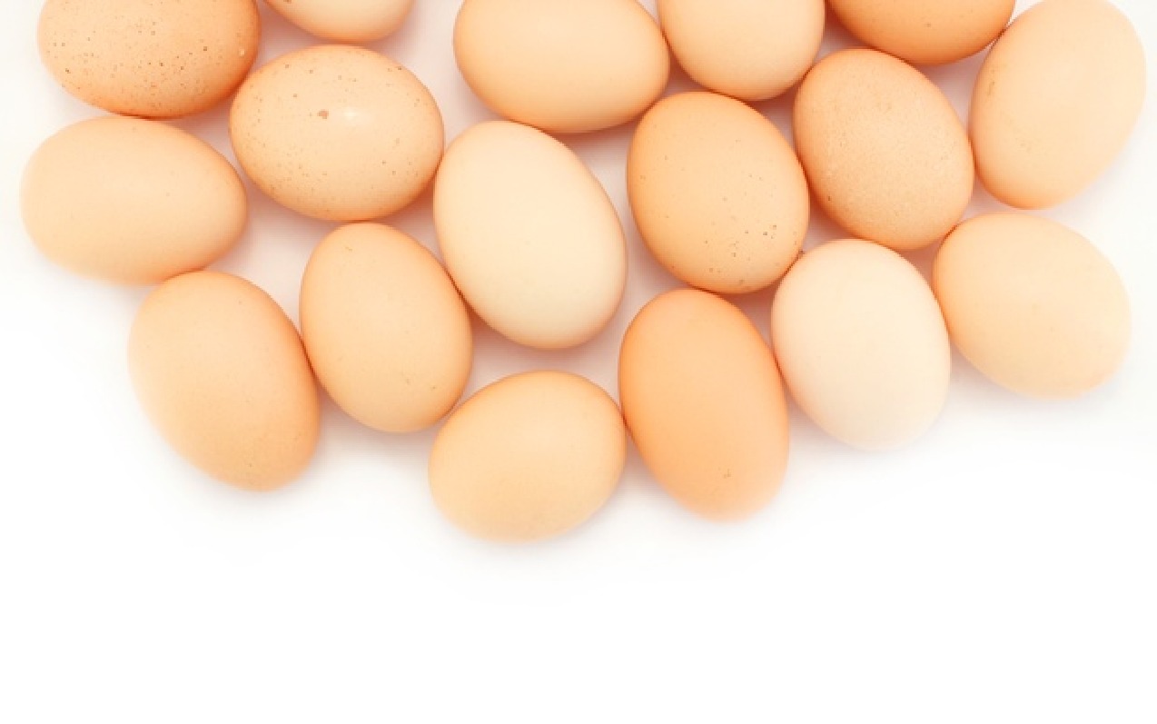 play Kill The Egg