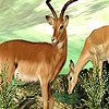 play Two Elegant Deer Puzzle