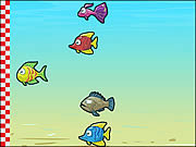 play Fish Race Champions