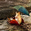 play Mouse In The Rain Slide Puzzle