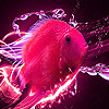 play Bright Sea Fish Slide Puzzle