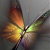 play Bright Butterfly Slide Puzzle