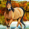 play Horse In The River Puzzle