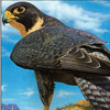 play Hawk In The Mountain Puzzle