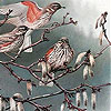 Birds On A Tree Slide Puzzle