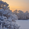 play Jigsaw: Winter Landscape