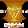 play Ninja Basketball