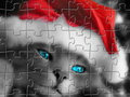 Santa Cat Puzzle