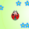 play Ladybug And Flowers