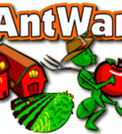 Ant War