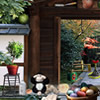 play Mystery Expedition Shrine