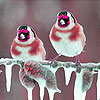 play Winter Birds Slide Puzzle