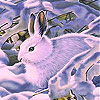 play Rabbit In The Snow Slide Puzzle