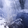 Jigsaw: This Winter River