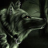 play Black Wolf In The Woods Slide Puzzle