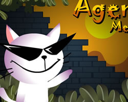 play Agent Meow