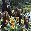 play Bear Family And Flowers Puzzle