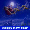 play Happy New Year. Spot The Difference