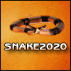 play Snake 20-20