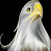 play Proud Bird Slide Puzzle