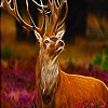 play Brown Deer On The Forest Puzzle