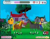 play Horse Kissing