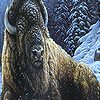 play Winter And Big Buffalo Puzzle