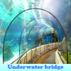 play Underwater Bridge