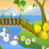 play Find My Chicks
