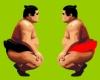 Challenge Of The Sumo Wrestlers