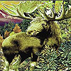 play Green Wild Deer Slide Puzzle