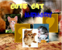 play Cute Cat Memory