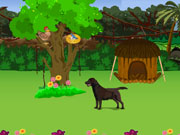 play Hen Escape