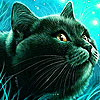 play Porky Black Cat Slide Puzzle