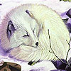 play Sleepy White Fox Puzzle