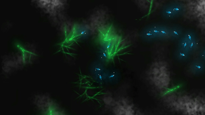 play Microbial Sketchpad