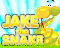 play Jakethesnake