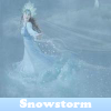 play Snowstorm 5 Differences
