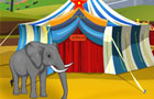 Elephant Circus