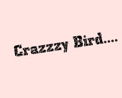 play Crazy Bird