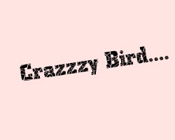 Crazy Bird