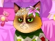 play Grumpy Cat