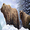 play Grizzly Bears And Snow Puzzle