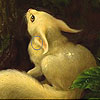 Rabbit Lost In The Woods Puzzle