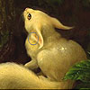 play Rabbit Lost In The Woods Puzzle