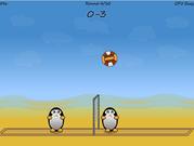 play Volleyball Penguins