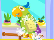 play Parrot Care